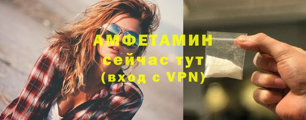 ПСИЛОЦИБИНОВЫЕ ГРИБЫ Белокуриха