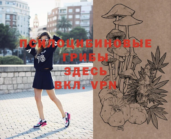 ПСИЛОЦИБИНОВЫЕ ГРИБЫ Белокуриха