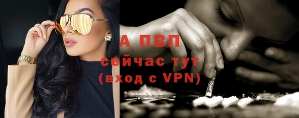 амф Белоозёрский