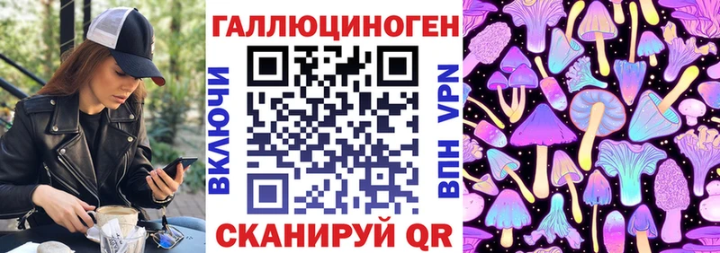 Псилоцибиновые грибы Cubensis  хочу   Вихоревка 